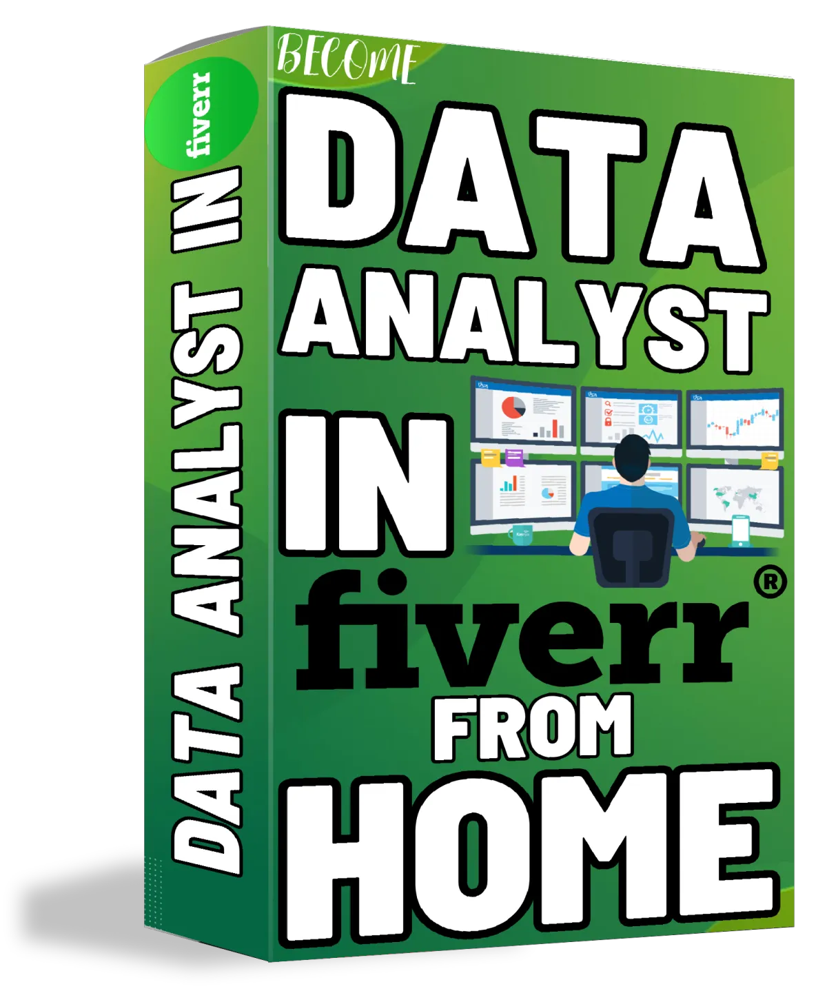 Data Analyst in Fiverr